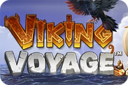 Viking Voyage